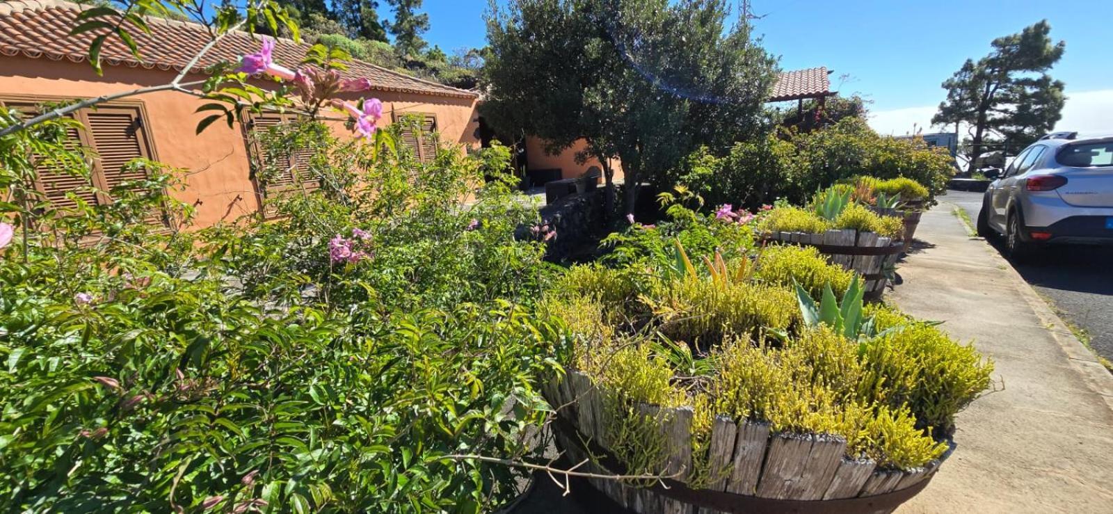 Vivienda Vacacional El Lagar, Bodega A Fuencaliente de la Palma Buitenkant foto