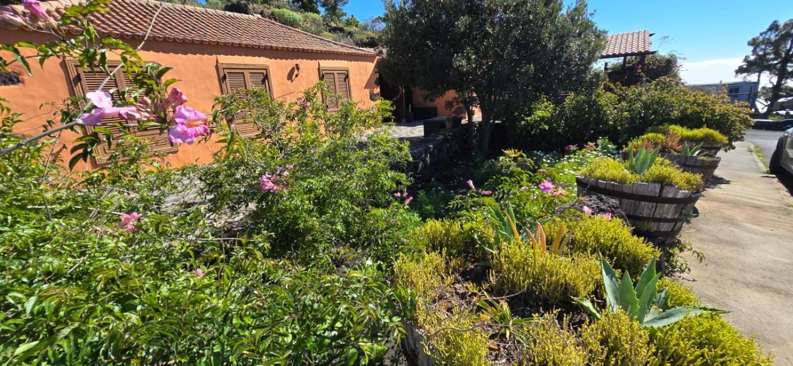 Vivienda Vacacional El Lagar, Bodega A Fuencaliente de la Palma Buitenkant foto