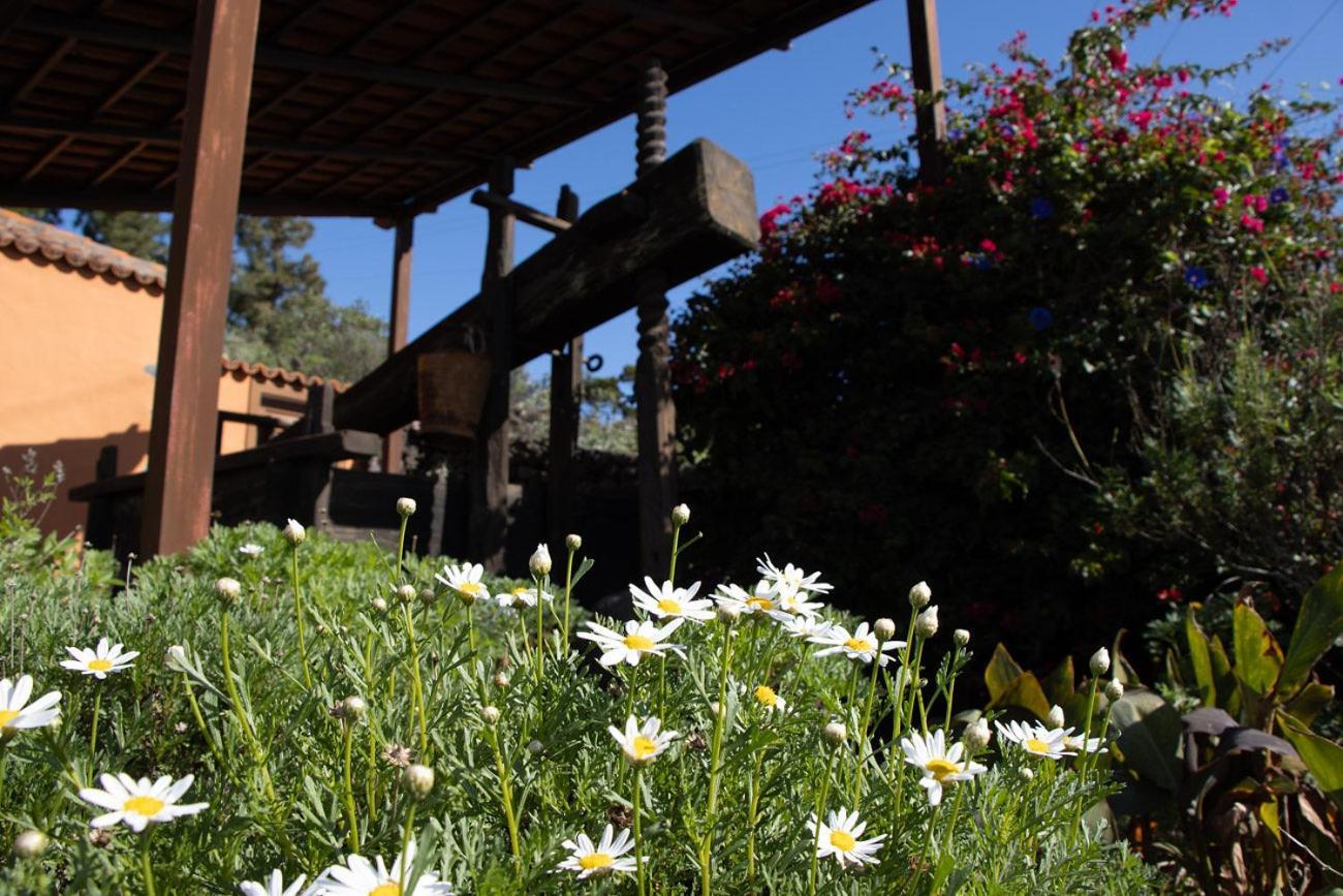 Vivienda Vacacional El Lagar, Bodega A Fuencaliente de la Palma Buitenkant foto